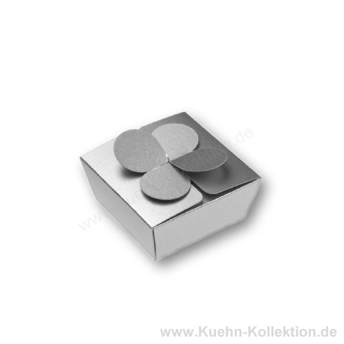 Falt-Geschenkverpackung 118