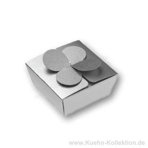 Falt-Geschenkverpackung 118