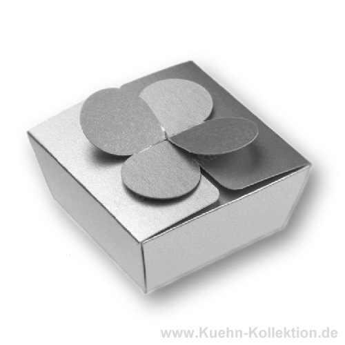 Falt-Geschenkverpackung 118