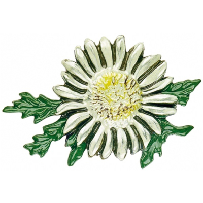 Pewter Brooch Carline Thistle