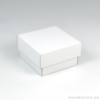 Stülpdeckelbox 401 - 130 x 130 x 80 mm