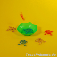 Froschspiel mit Ziel-Schale